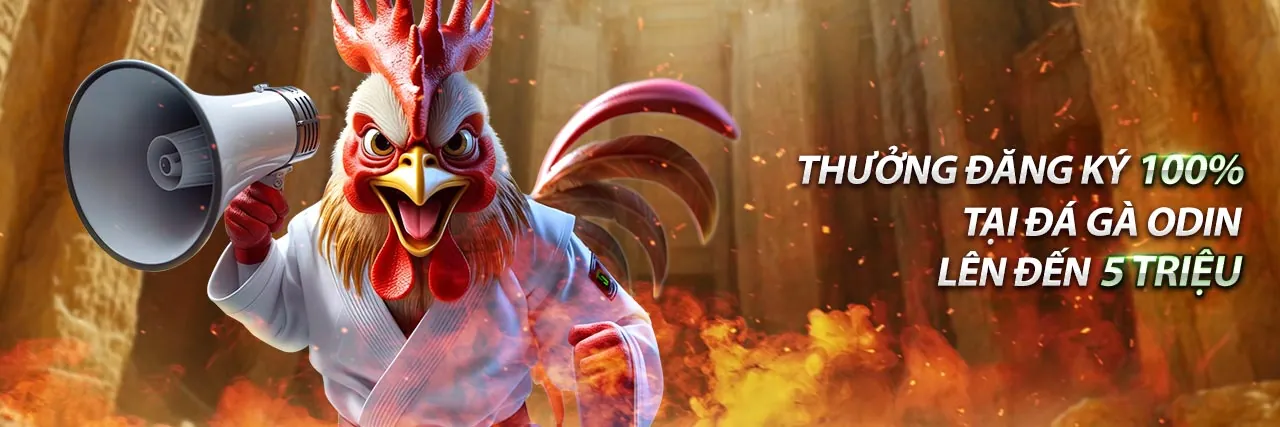 Hình ảnh thể thao và Bingo 18 với chiến lược thắng cược