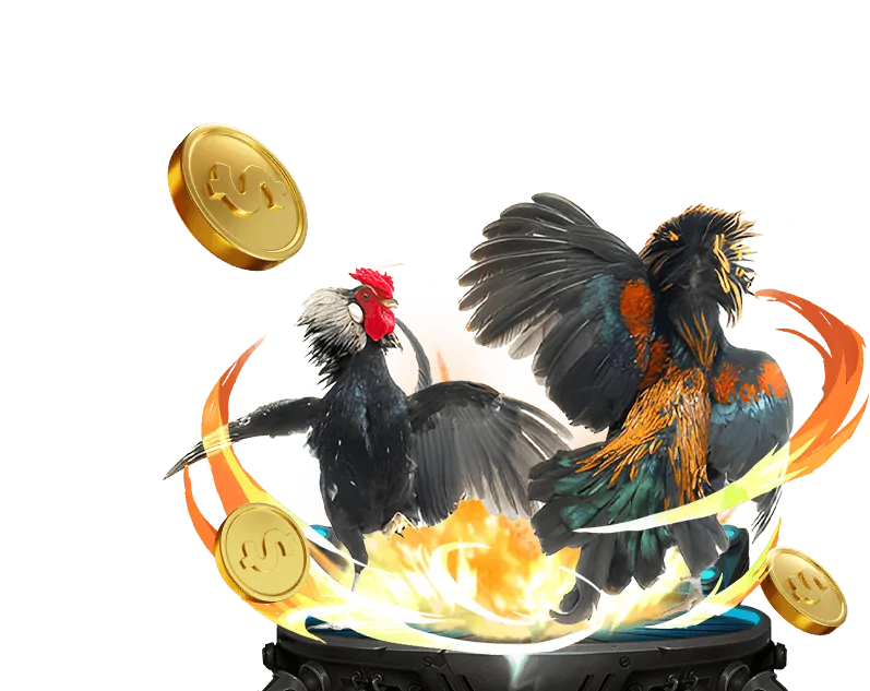 Chương trình hoàn trả cược hàng tuần cho người chơi Bingo 18