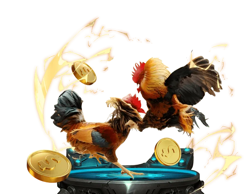 Tổng quan về thể thao và trò chơi Bingo 18